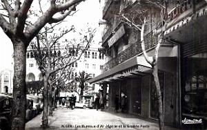 Alger - Air Algerie - Bureaux
